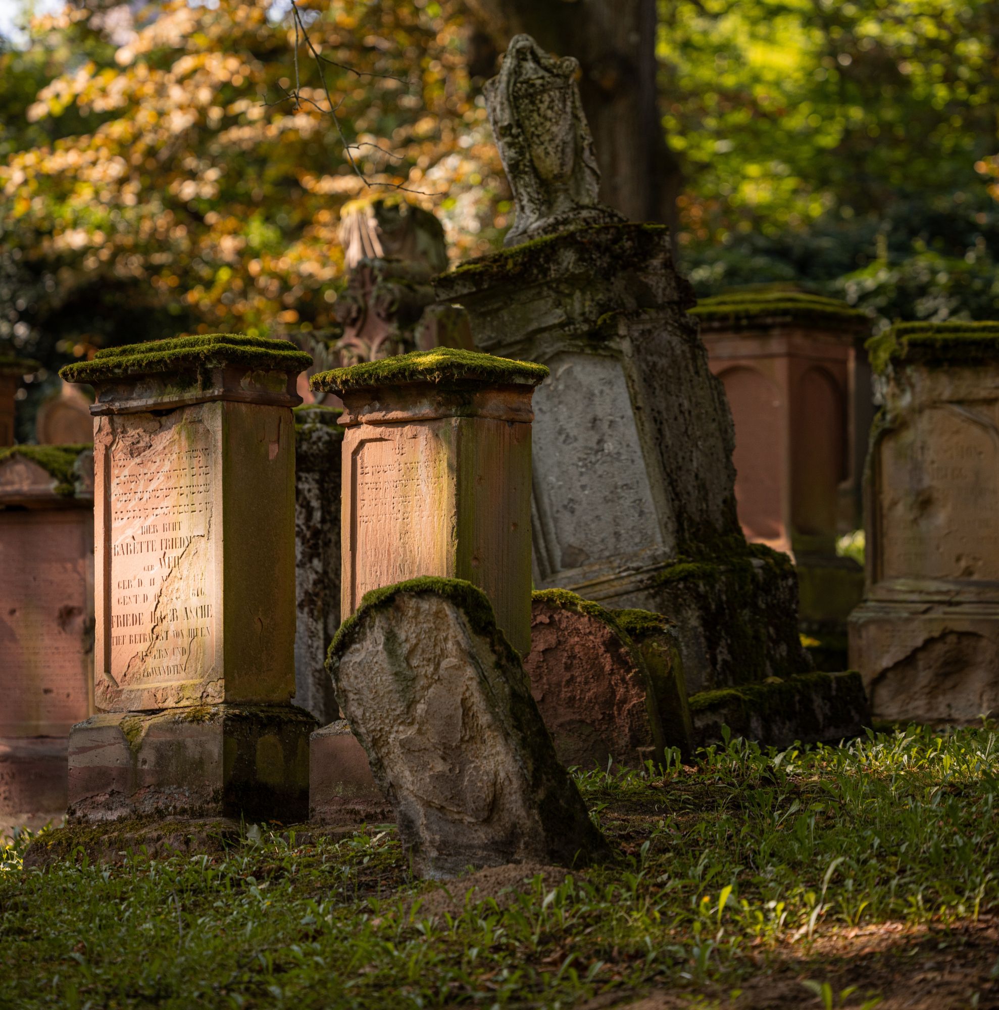 Judensand. Cementerio judío de Maguncia. Visitas guiadas en español.